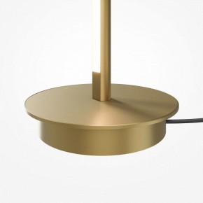 Торшер Maytoni Thin MOD395FL-L28BS3K в Тобольске - tobolsk.ok-mebel.com | фото 7