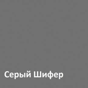 Юнона Шкаф торцевой 13.221 в Тобольске - tobolsk.ok-mebel.com | фото 2